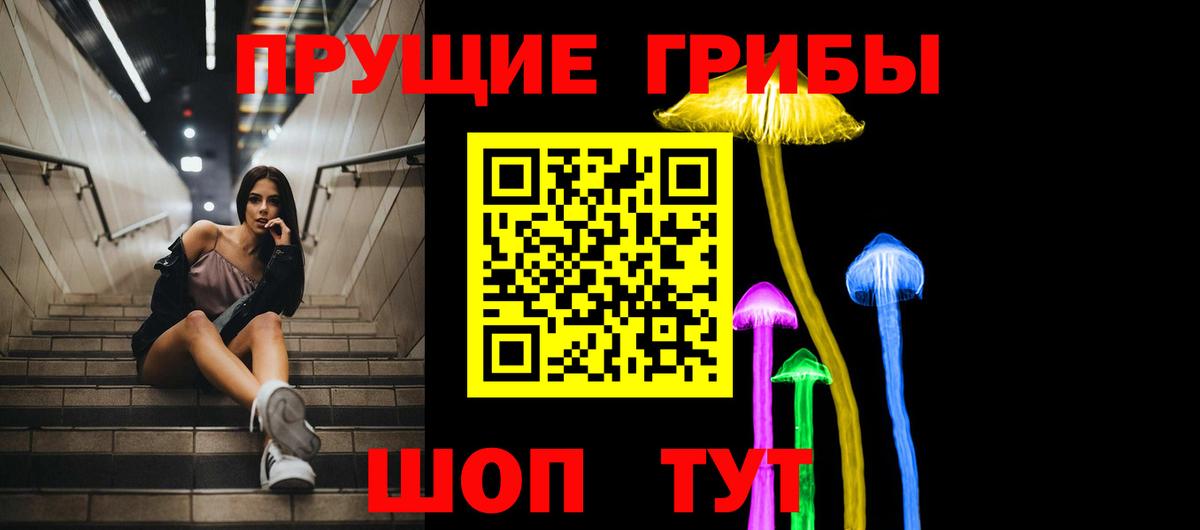 Псилоцибиновые грибы Cubensis  Галлюциногенные грибы мухоморы  Кузнецк  Вход с VPN 